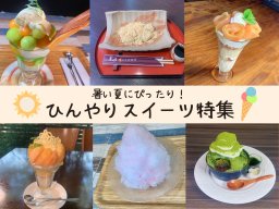 暑い夏に！ナビ店チョイス「ひんやりスイーツ」5選【ナビって店ちゃう7月放送】