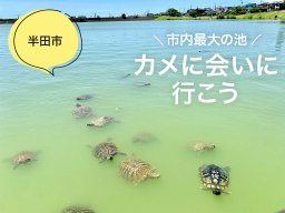 自然あふれる遊歩道！遊具も充実の七本木池公園【穴場公園#5】