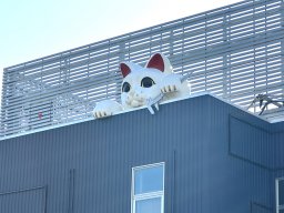 9月29日は「招き猫の日」！巨大招き猫がいるという常滑市の会社を調査