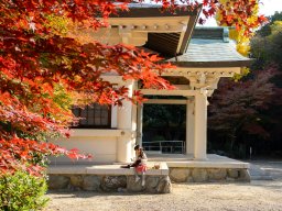 日長神社の「紅葉谷」が見頃！秋の絨毯を楽しむ【ぶらり、じもふぉと。#10】