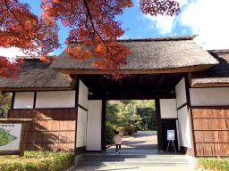 大正時代の茅葺門に紅葉！子どもと一緒に大府市・大倉公園に行ってみた