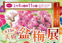 土日は特別イベントもあり！大府盆梅展が2/4(日)～2/11(日)で開催