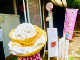 【開店】クレープ＆手相占い屋!?常滑市やきもの散歩道に「Dolphin Crepe」が5/10(金)オープン