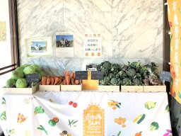 【開店】地元農家から仕入れる「無人野菜直売所」が南知多町役場に3/10(月)オープン
