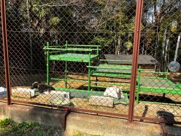 半田市「雁宿公園」に新たな仲間が！動物舎のヤギ達に会いに行ってみた