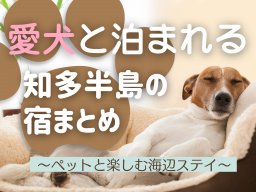 愛犬と泊まれる知多半島の宿まとめ｜ペットと楽しむ海辺ステイ