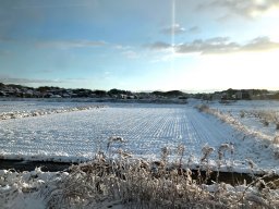 今週は要警戒！最強最長寒波襲来で知多半島でも雪予報｜雪や交通状況がチェックできる24時間Webカメラ