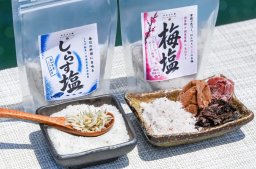 【開業】知多半島の梅やしらすからつくる塩！地産地消製造所「ひとさじ屋」が南知多町に5月オープン