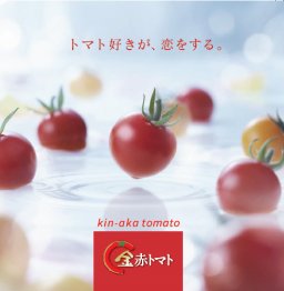 トマト好きが恋をする。金赤トマトミニ　1㎏