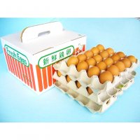 【超新鮮】青木養鶏場 ランニングエッグ赤卵60個入り【クール便(冷蔵)】