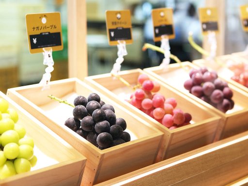【ちたまる調査隊#10】今が旬！大府市にあるブドウの直売所「橘萄園」