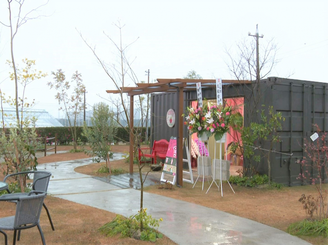 いちご 狩り 市野 園芸