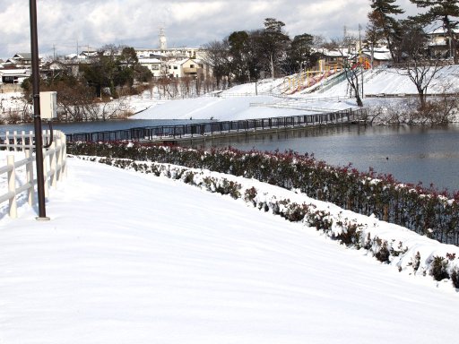 来週、最強寒波襲来！雪や交通状況がチェックできる24時間Webカメラ