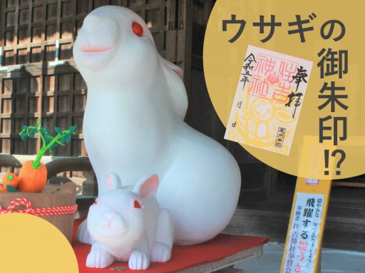 卯年」に開運祈願！住吉神社でウサギの御朱印みっけ【2023年開運ウサギ