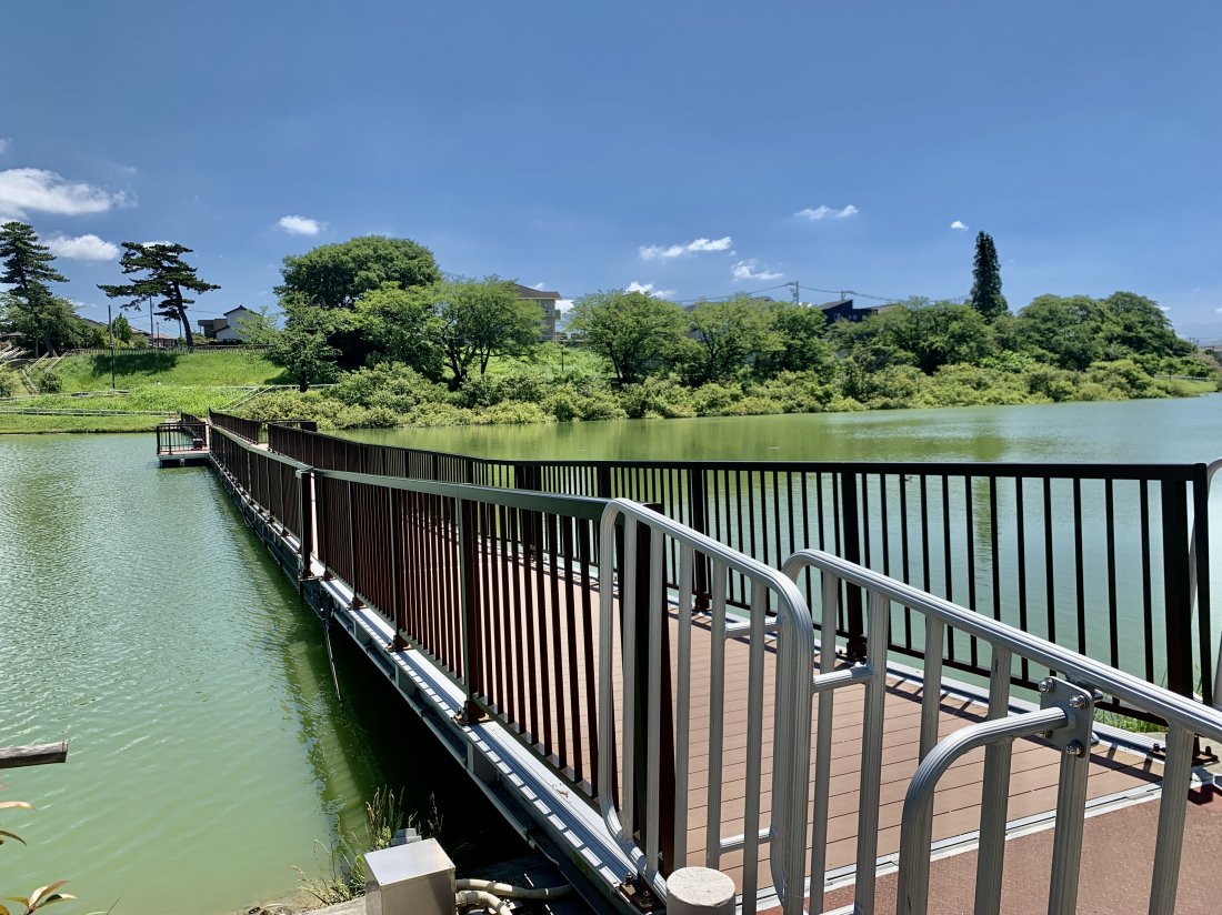 七 本 木 池 公園