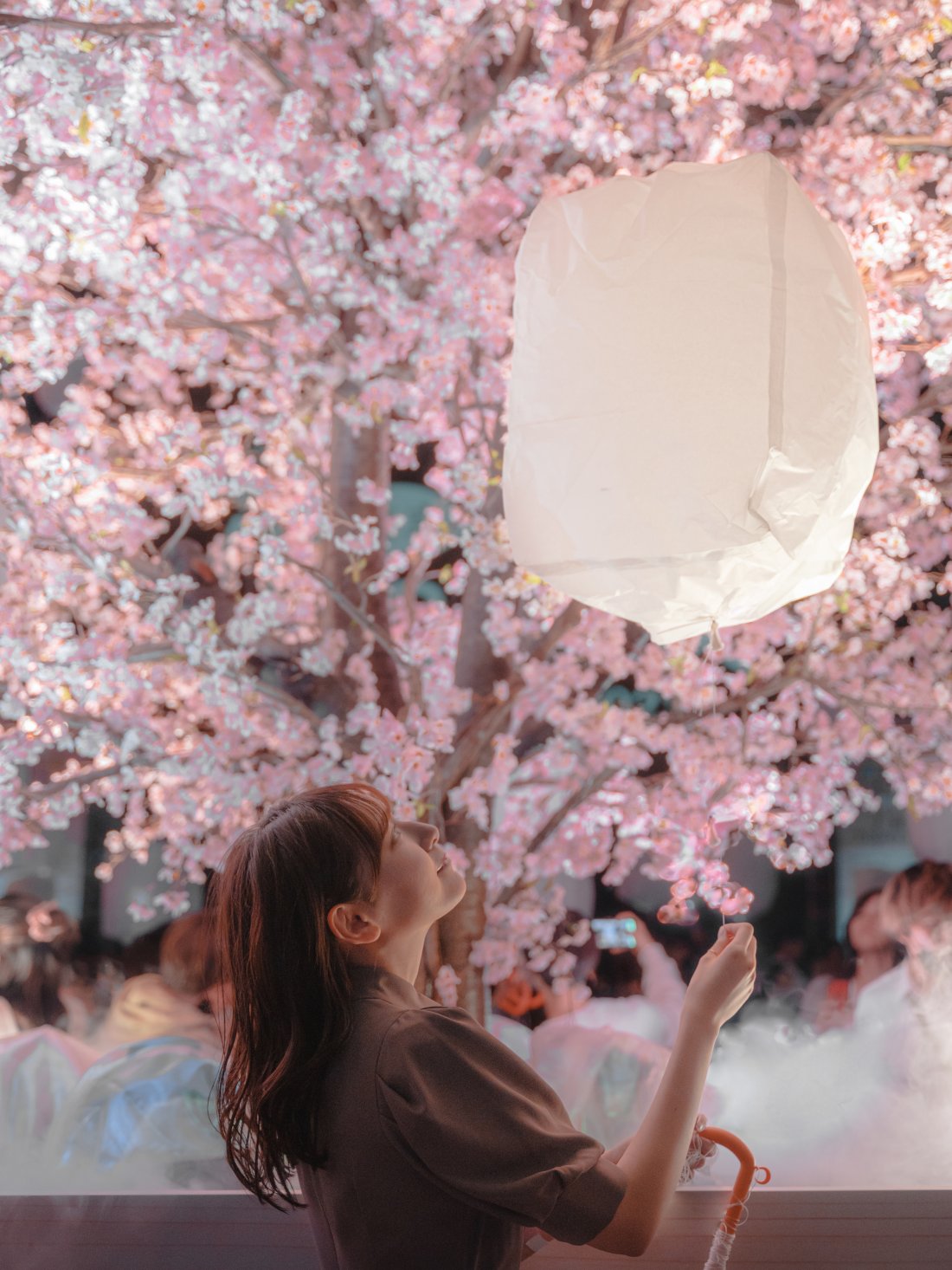 スカイランタン×夜桜！常滑市の愛知国際展示場で幻想的な「花見灯夜」3