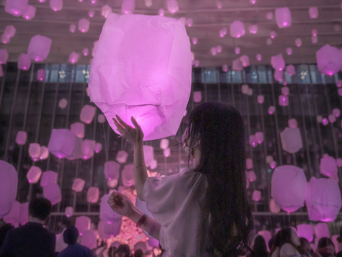 スカイランタン×夜桜！常滑市の愛知国際展示場で幻想的な「花見灯夜」3