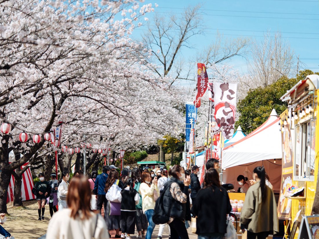 大池 公園 桜 まつり