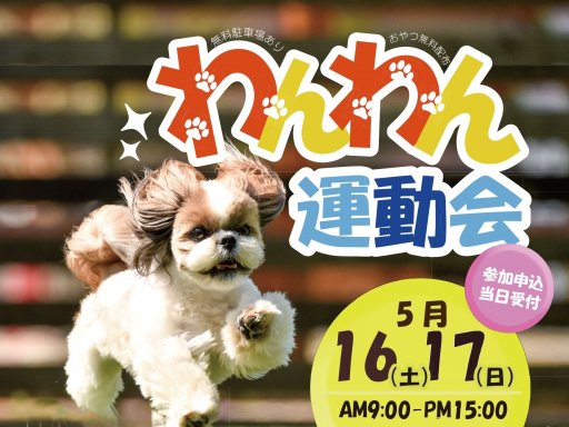 運動会×グルメ×花畑!? 愛犬と楽しむ「春のわんちゃん運動会」が南知多