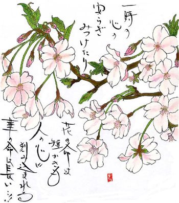 桜