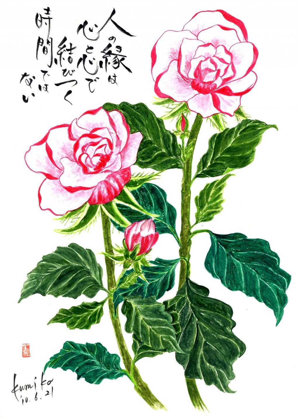 ザハーバリスト(薔薇)　花言葉「尊敬」