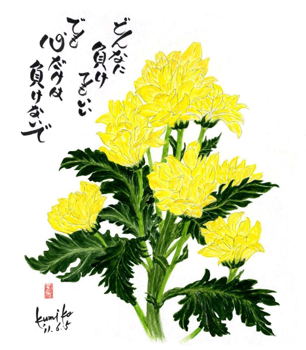 菊　花言葉「私を信じてください」