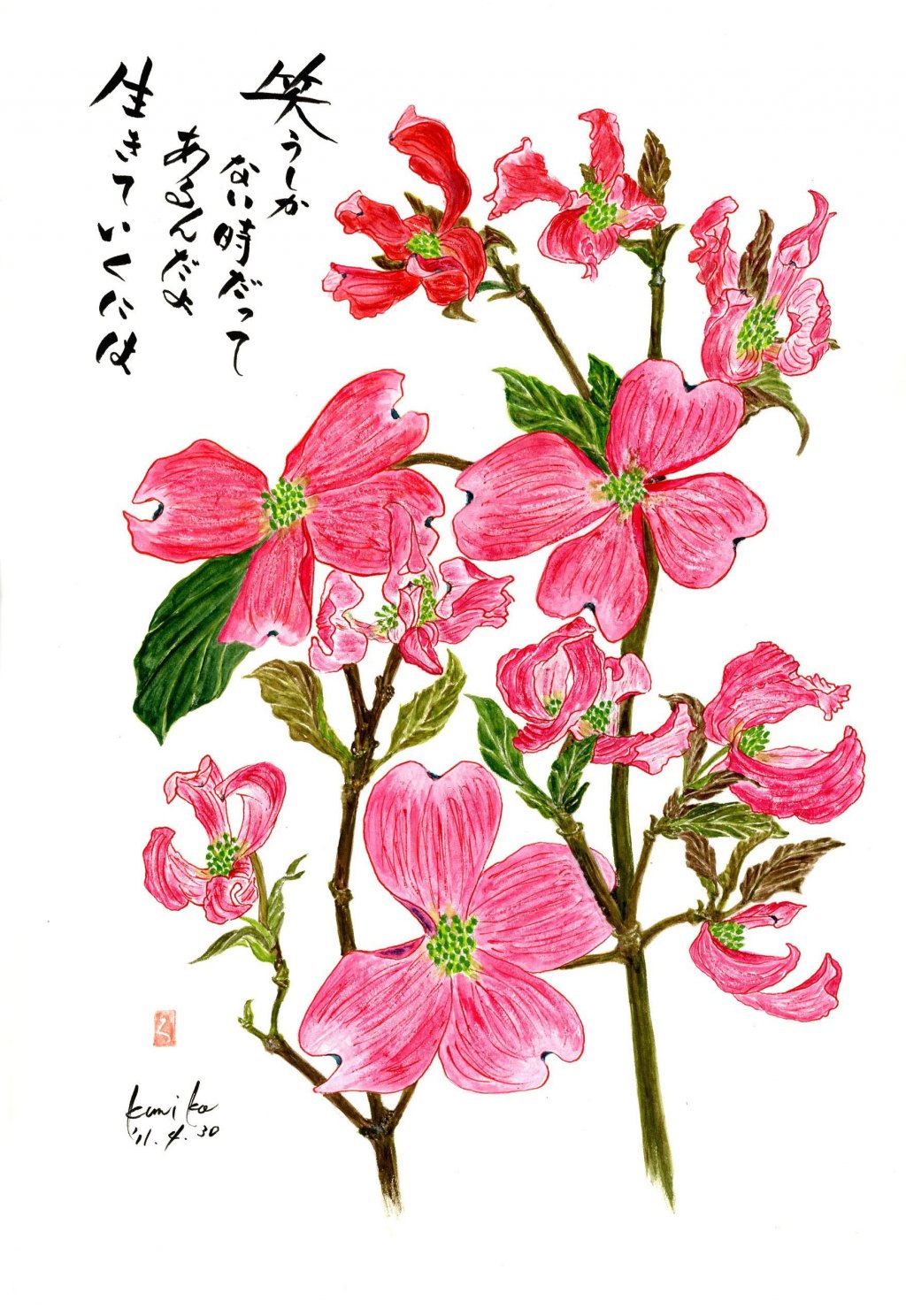 ハナミズキ　花言葉「あなたへの返礼」