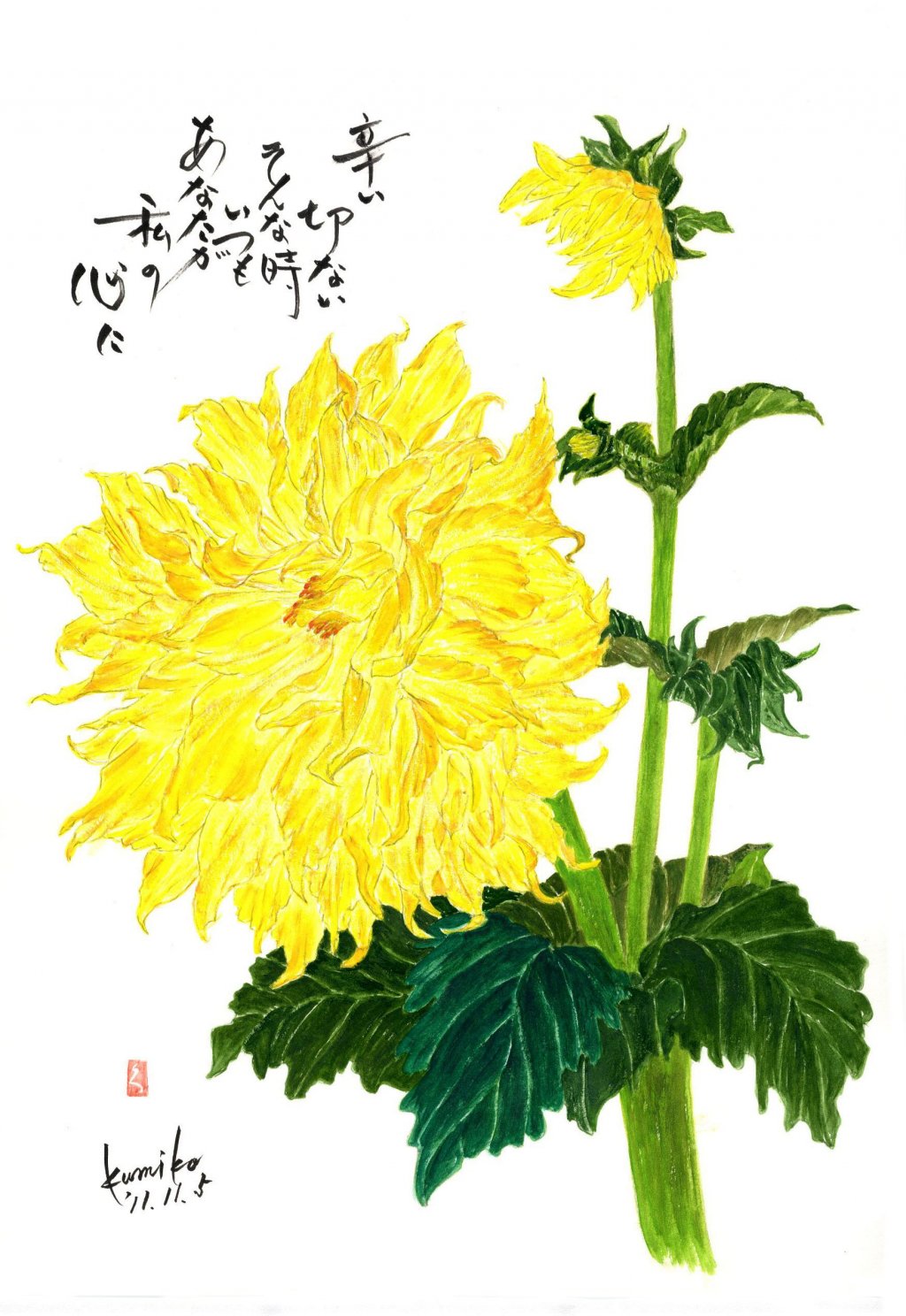 黄ダリア　花言葉「感謝」