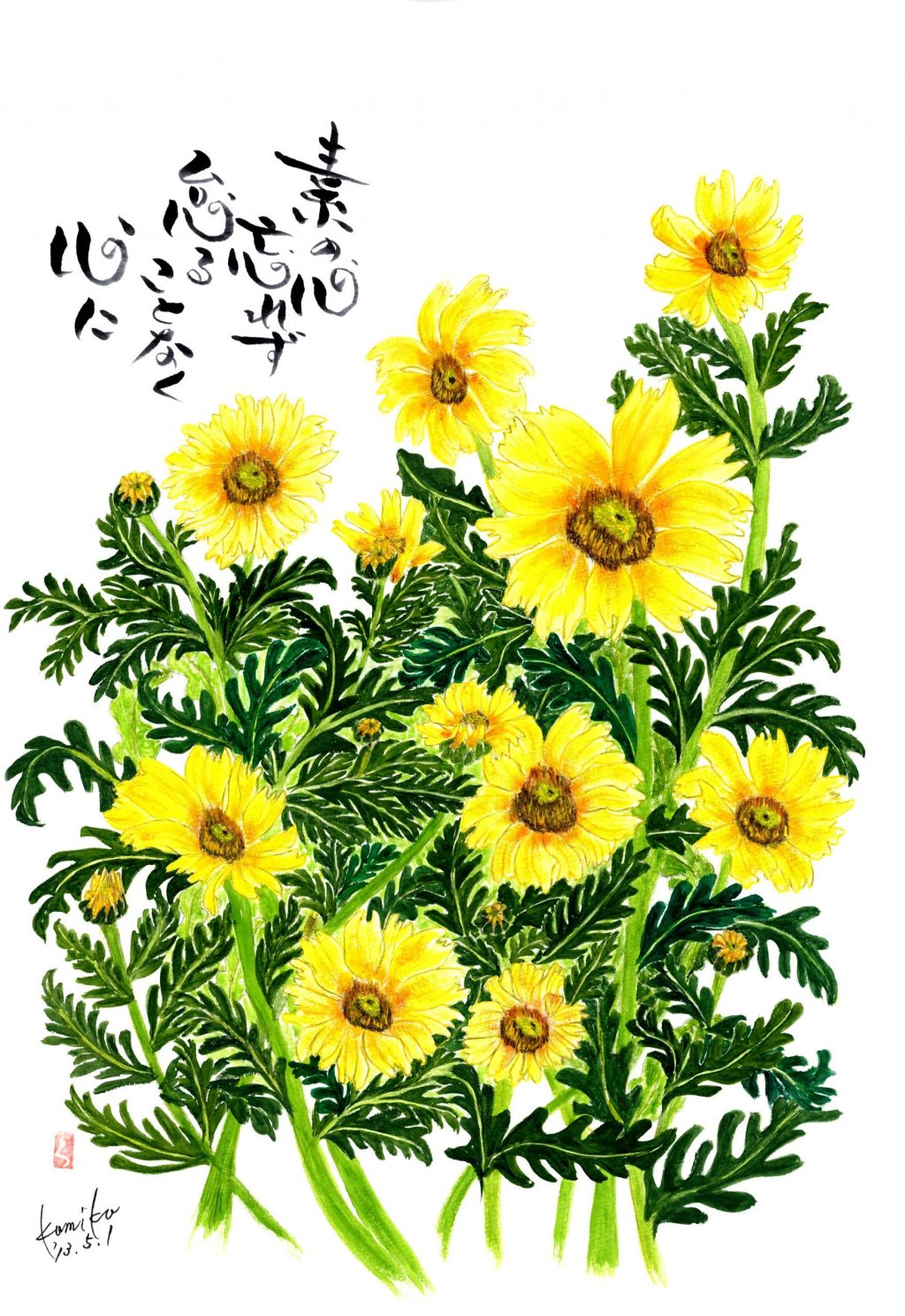 春菊　花言葉「豊富」