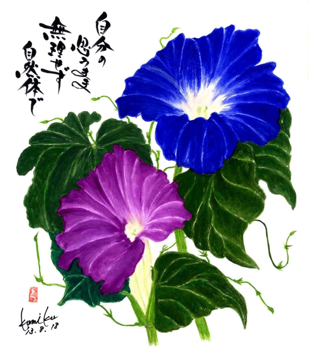 朝顔　花言葉「平静」