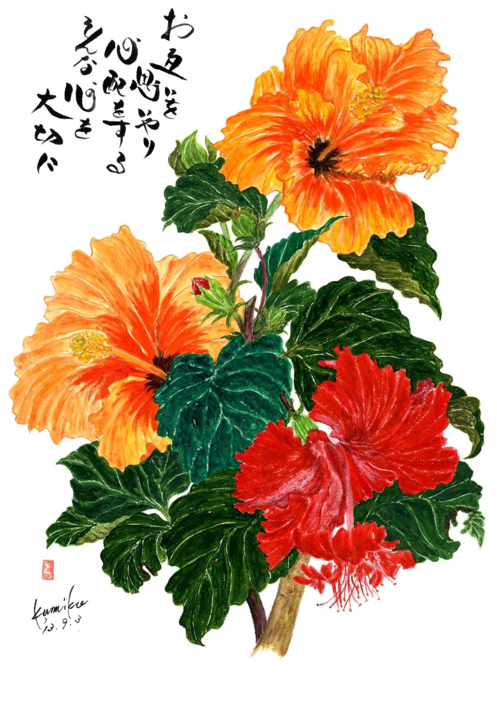 すべての美しい花の画像 無料ダウンロード赤い ハイビスカス 花 言葉