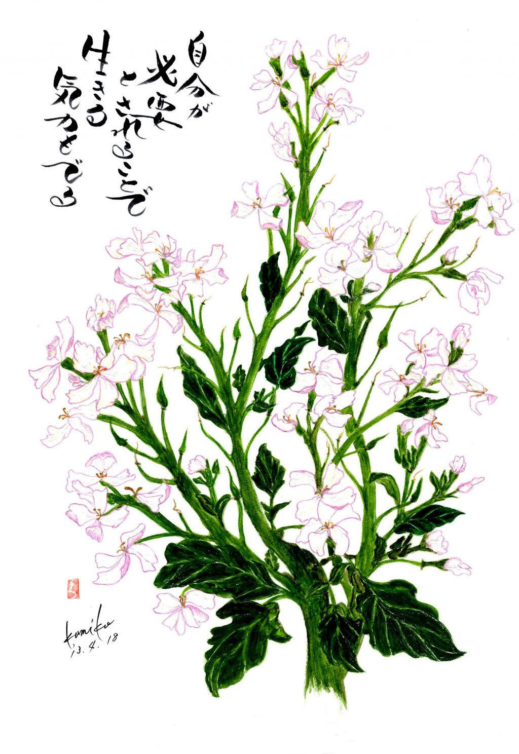 大根の花　花言葉「知恵の泉」