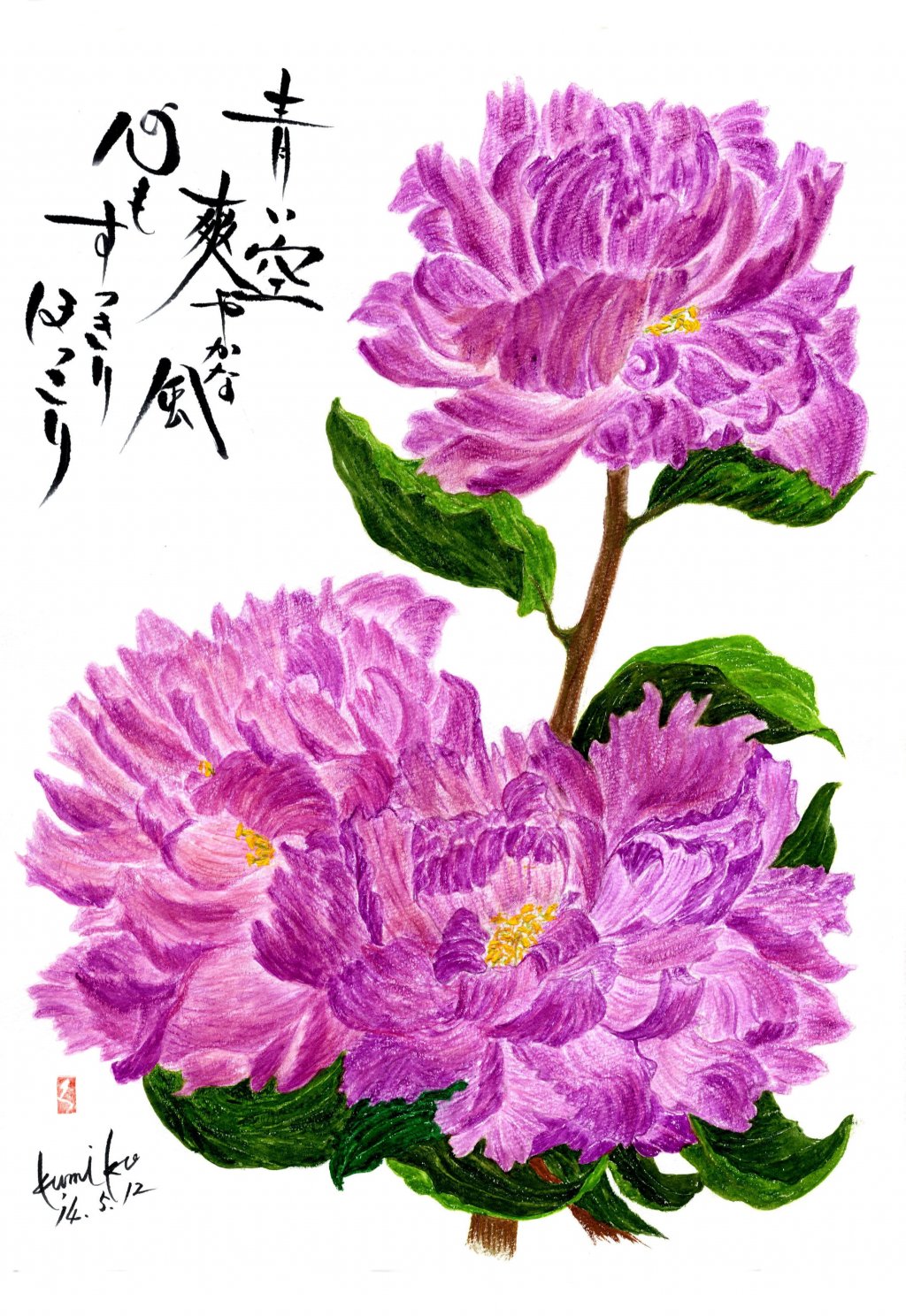 芍薬　花言葉「はにかみ」