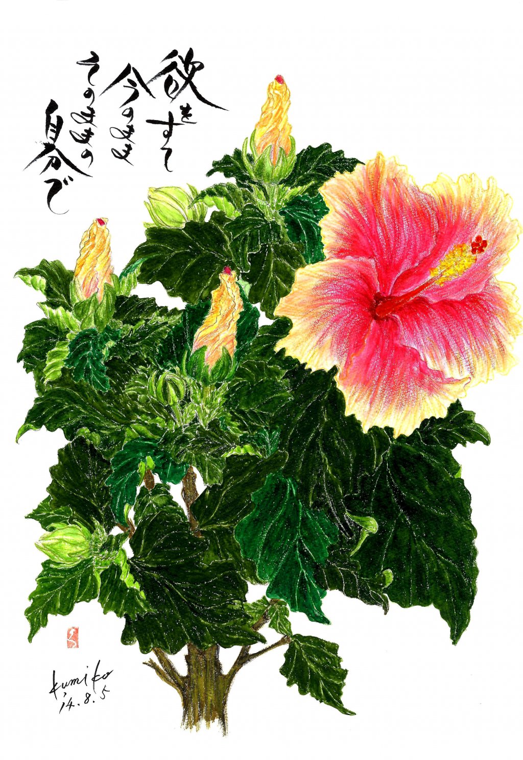 50 素晴らしい花 言葉 ハイビスカス すべての美しい花の画像