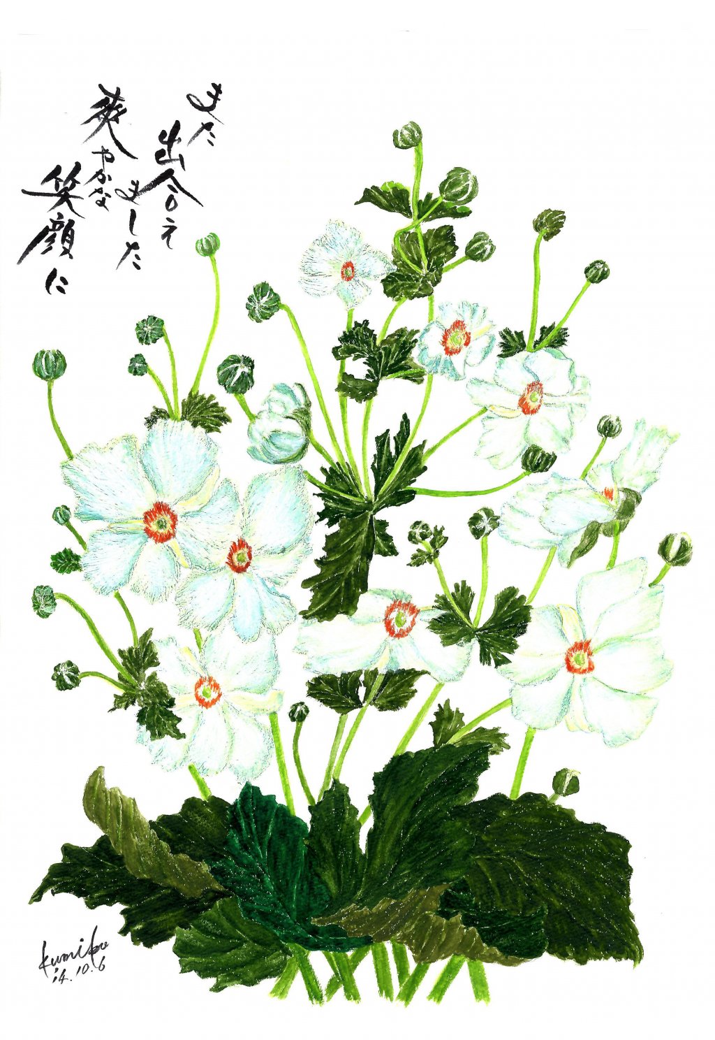 秋明菊　花言葉「忍耐」