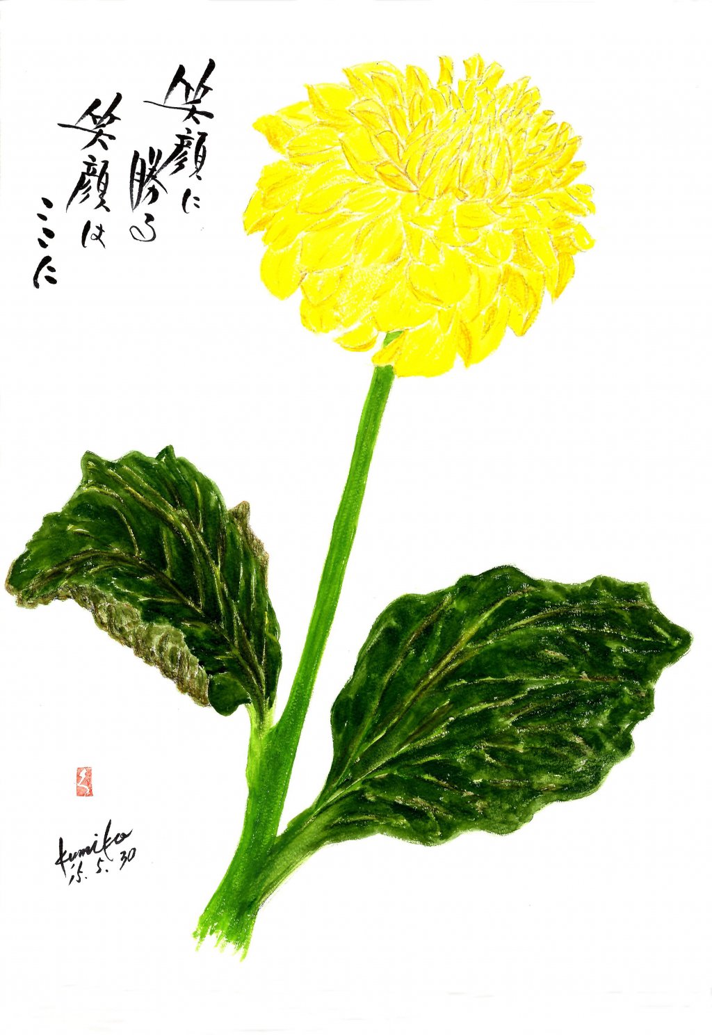 黄ダリア　花言葉「感謝」