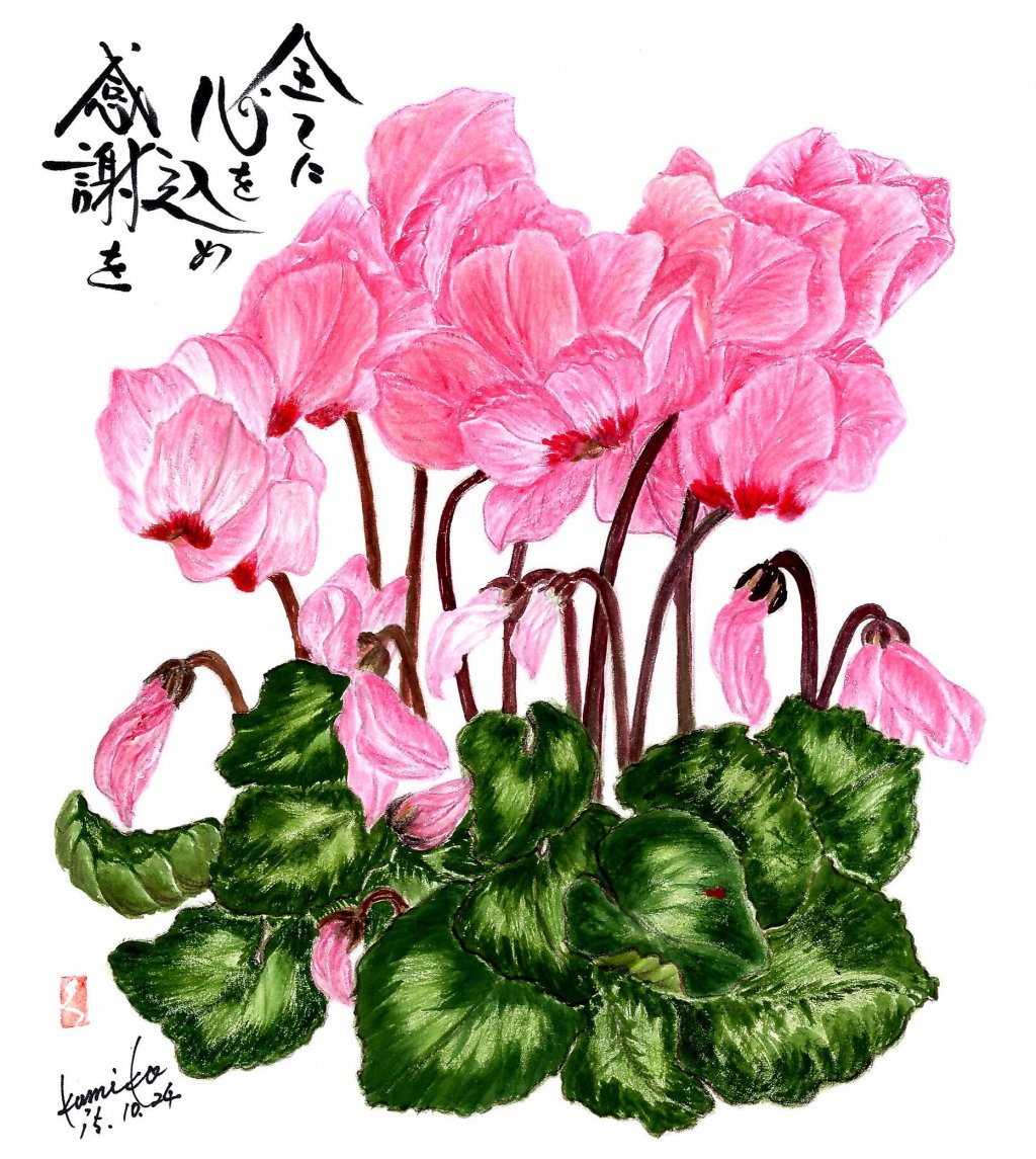 K's Gallery-2015.12.21-ちたまるNavi