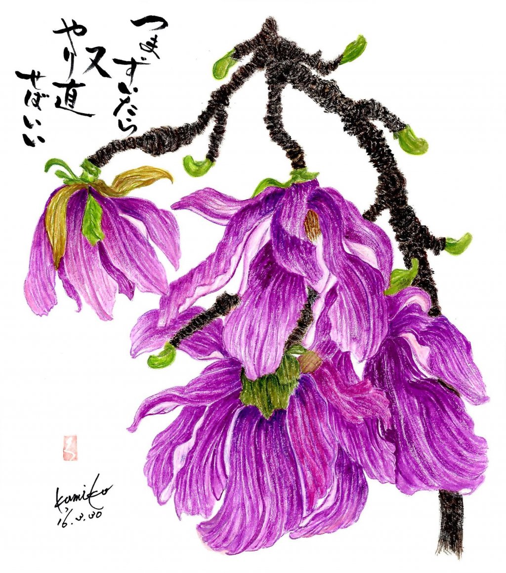 マグノリア（木蓮） 花言葉「自然への愛」