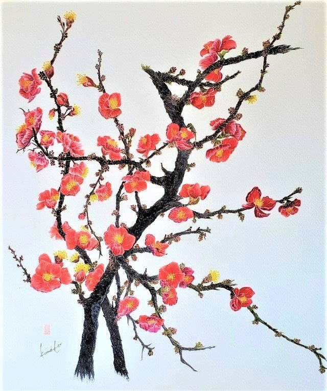 木瓜(ボケ) 　花言葉「妖精の輝」