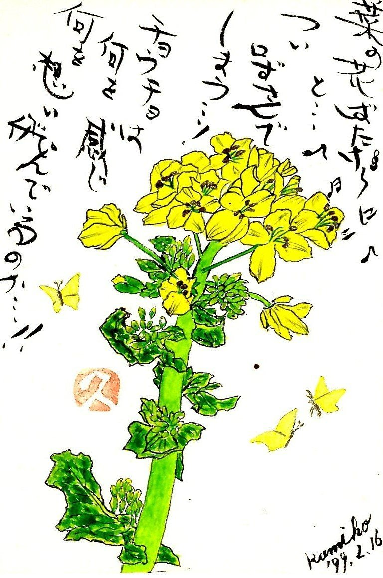 菜の花(なのはな) 　花言葉「明るさ」