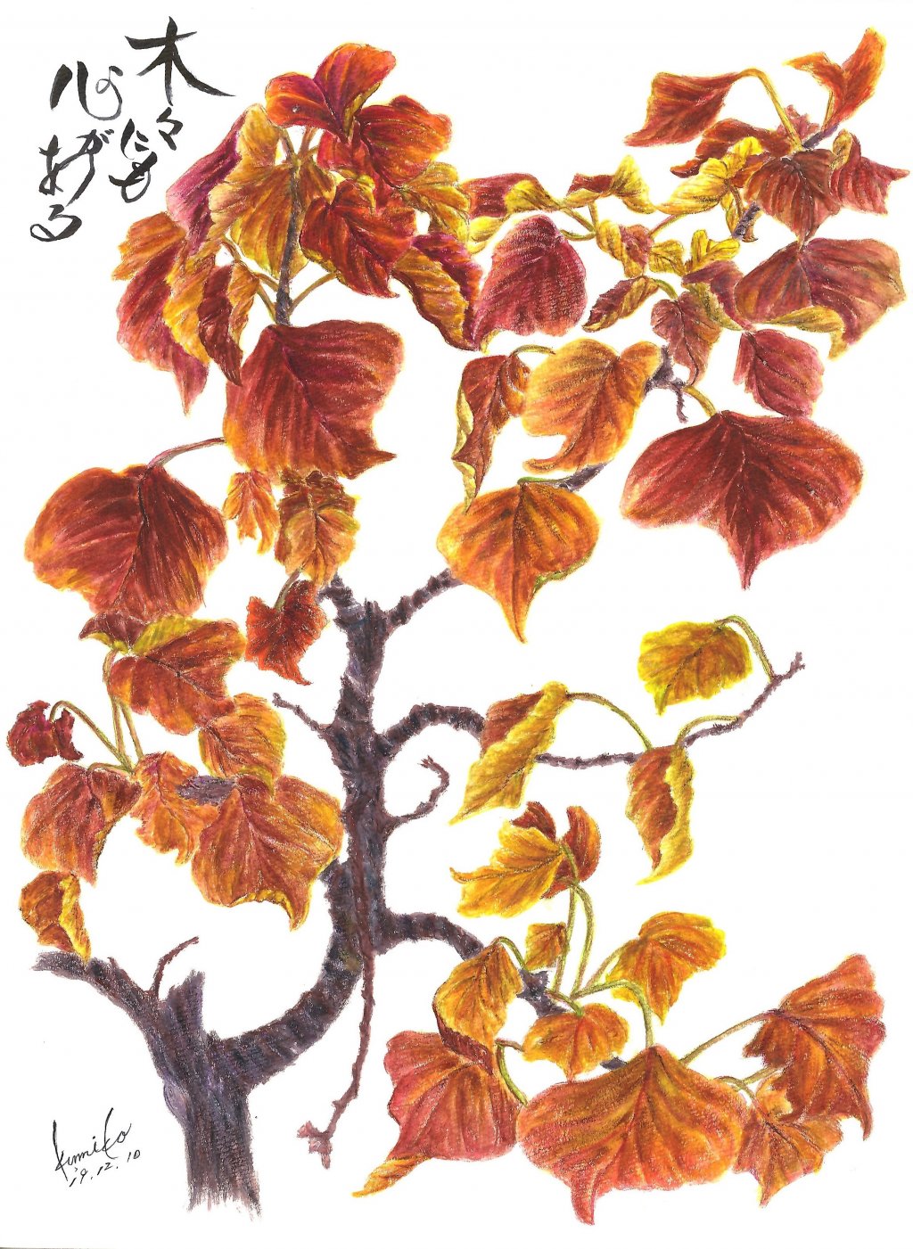 ナンキンハゼ(南京櫨)　花言葉「真心」