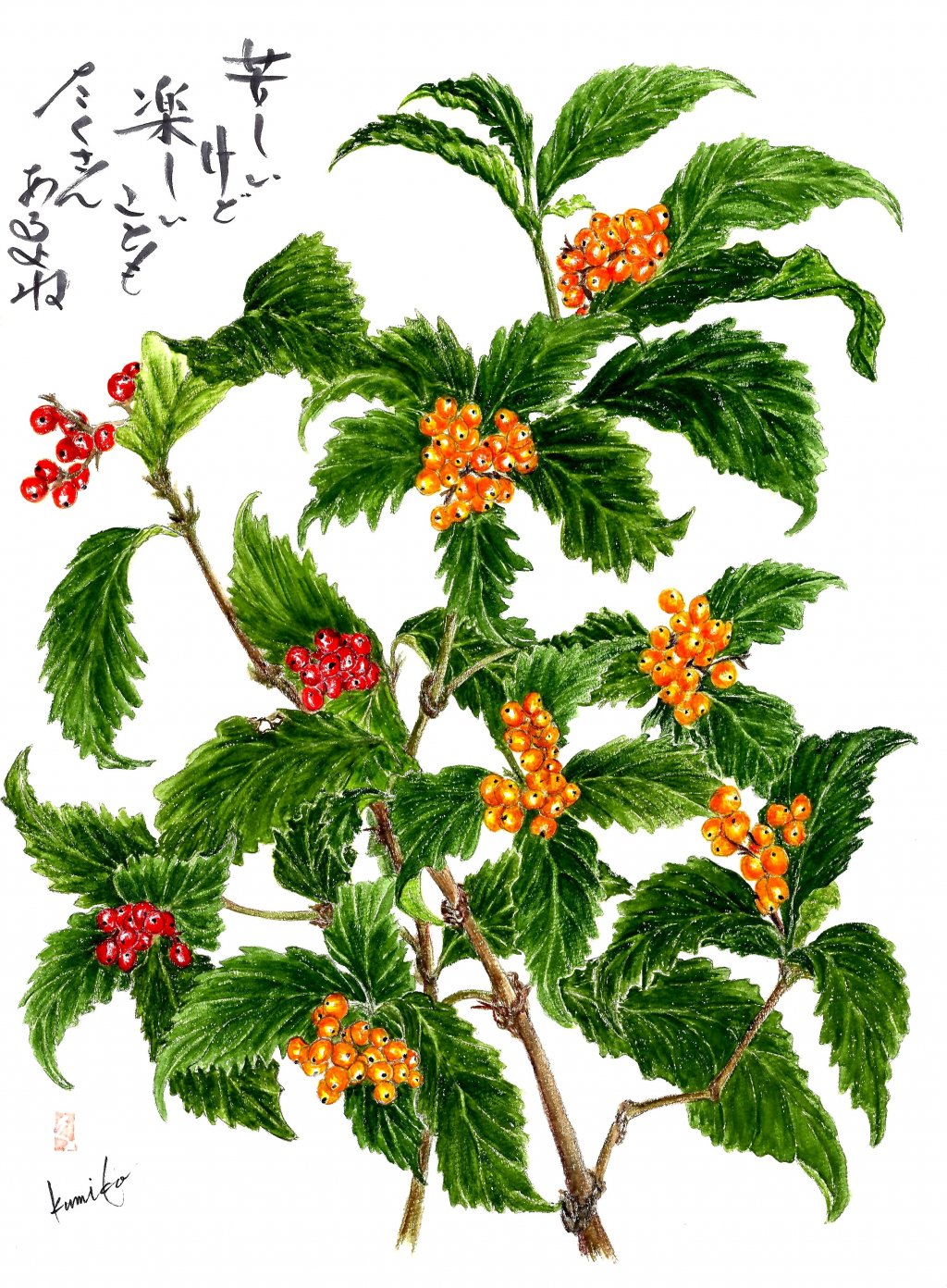 赤・黄センリョウ(千両)　花言葉「定める」