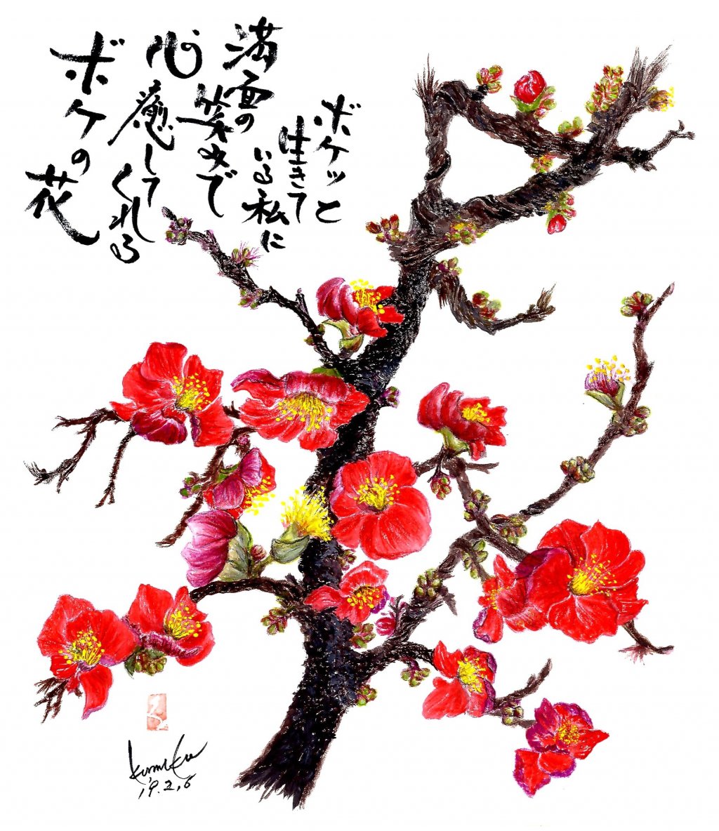 K's Gallery-2025.02.03-ちたまるNavi | 知多半島情報ポータル