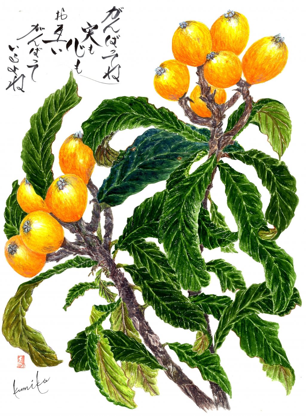 ビワ(枇杷)　花言葉「静かな思い」