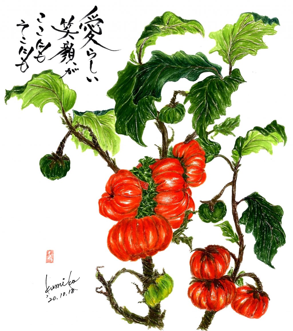 ソラナムパンプキン　花言葉「つつましい幸せ」