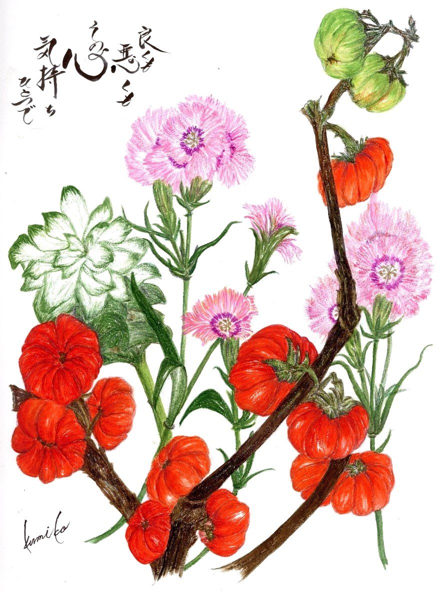 ナデシコ・クルクマ・ソラナムパンプキン　花言葉「ささやかな幸せ」