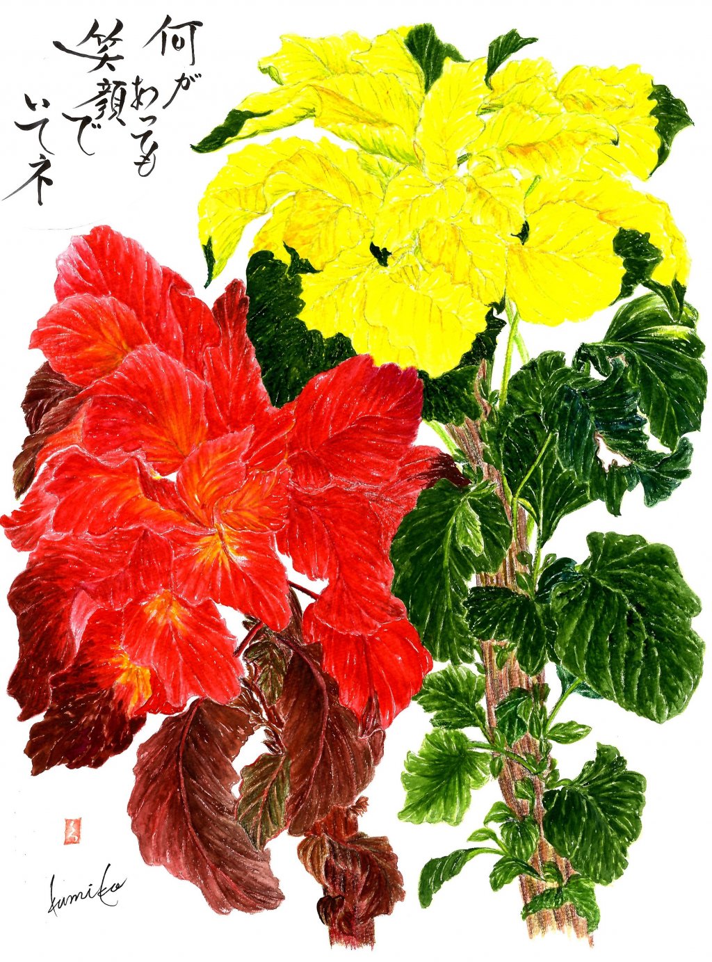 ハゲイトウ(葉鶏頭)　花言葉「不老不死」