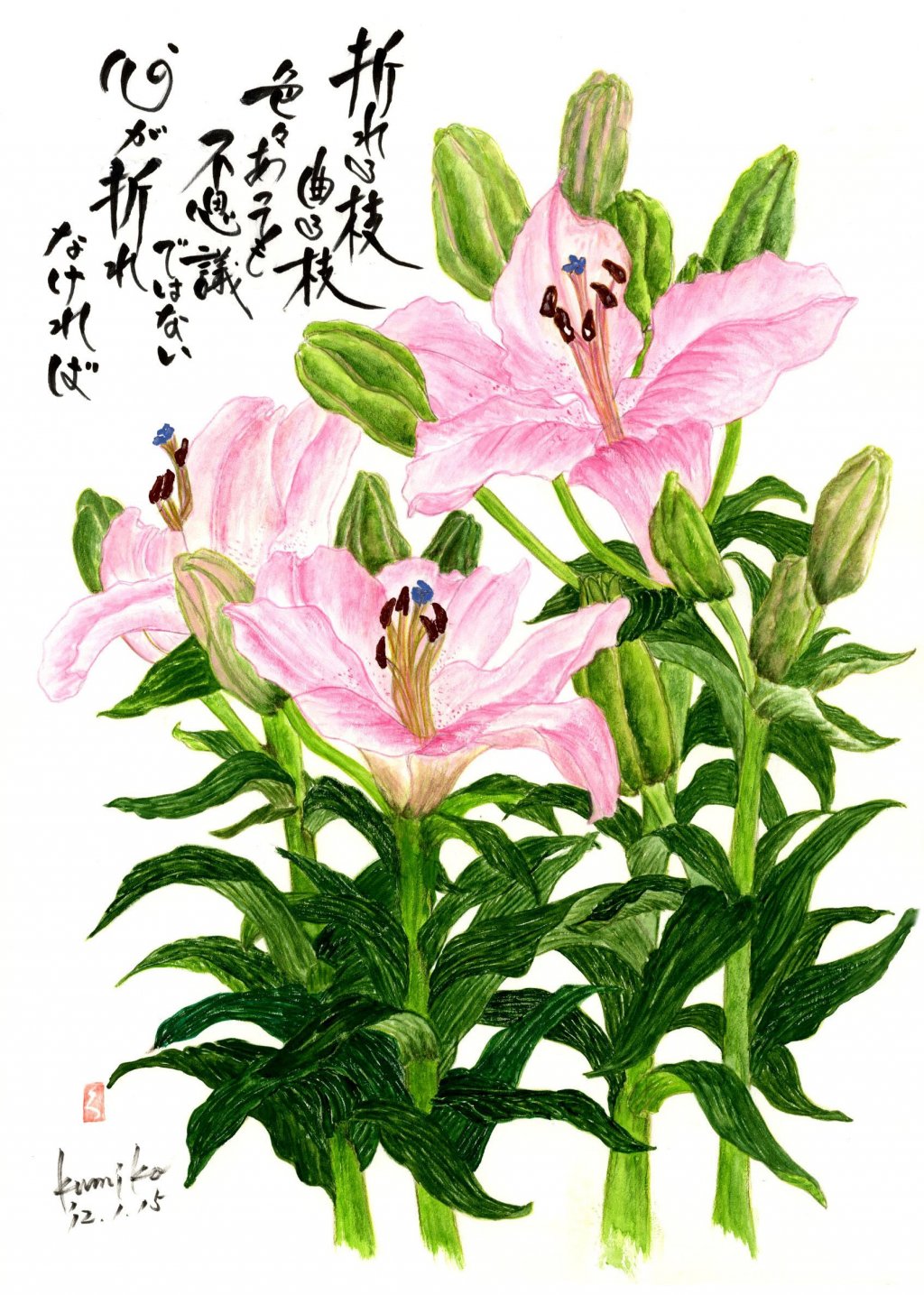 リリー百合　花言葉「無垢」