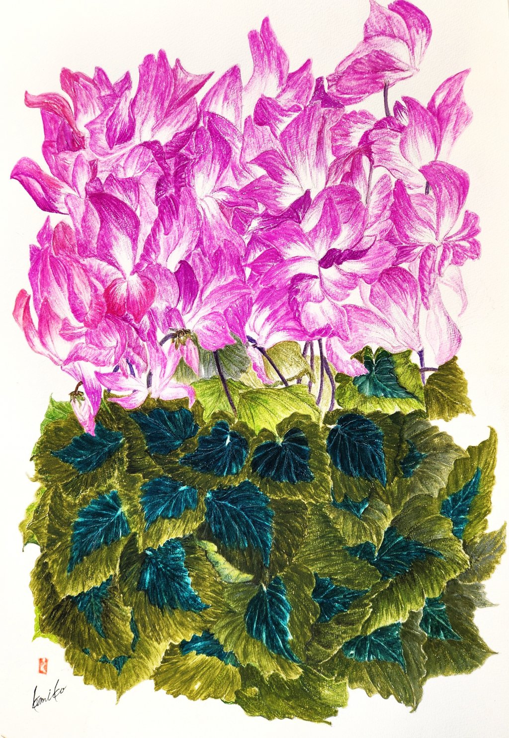 シクラメン　花言葉「内気」