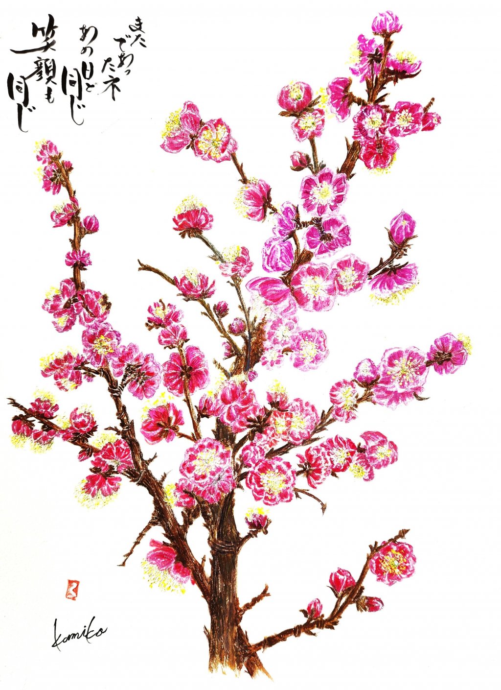 梅の花(紅梅)　花言葉「忍耐」